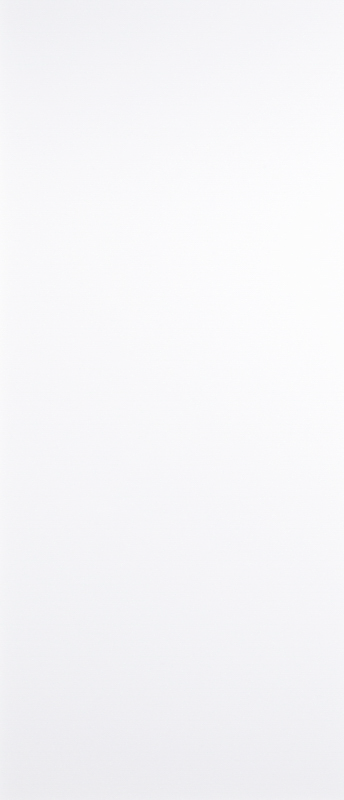 White Flush Primed Door